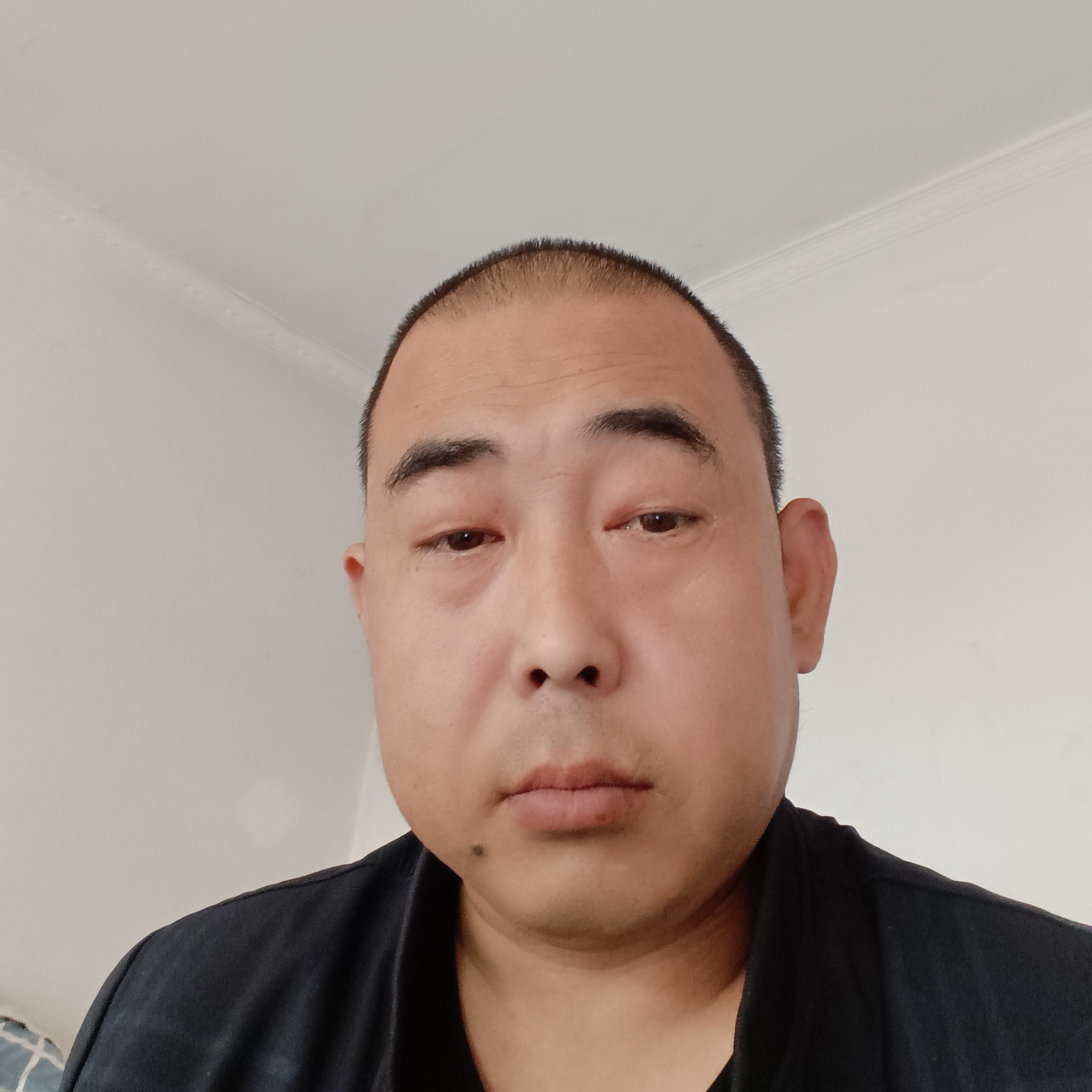 搞怪回首季节的照片