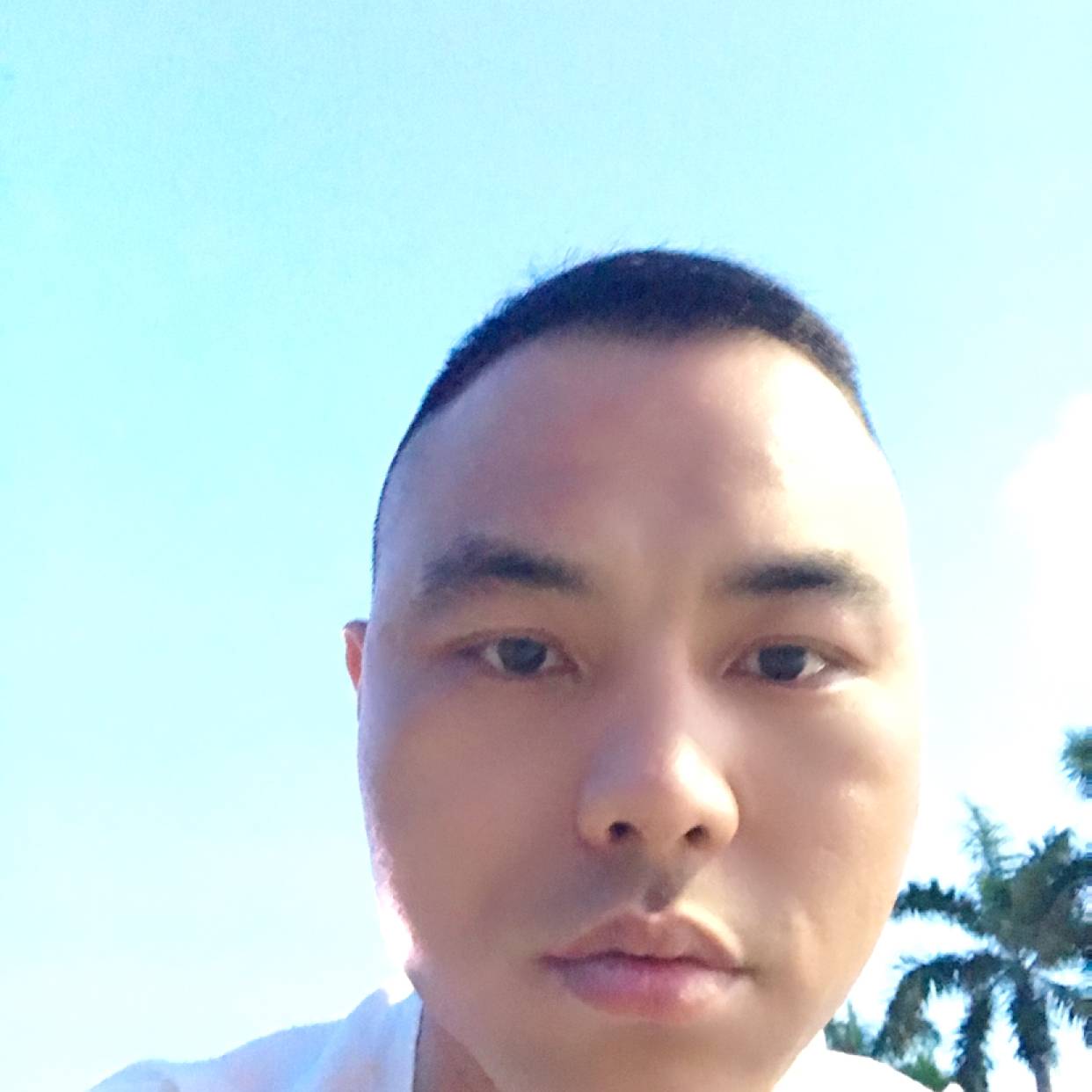 小松鼠用自觉的照片