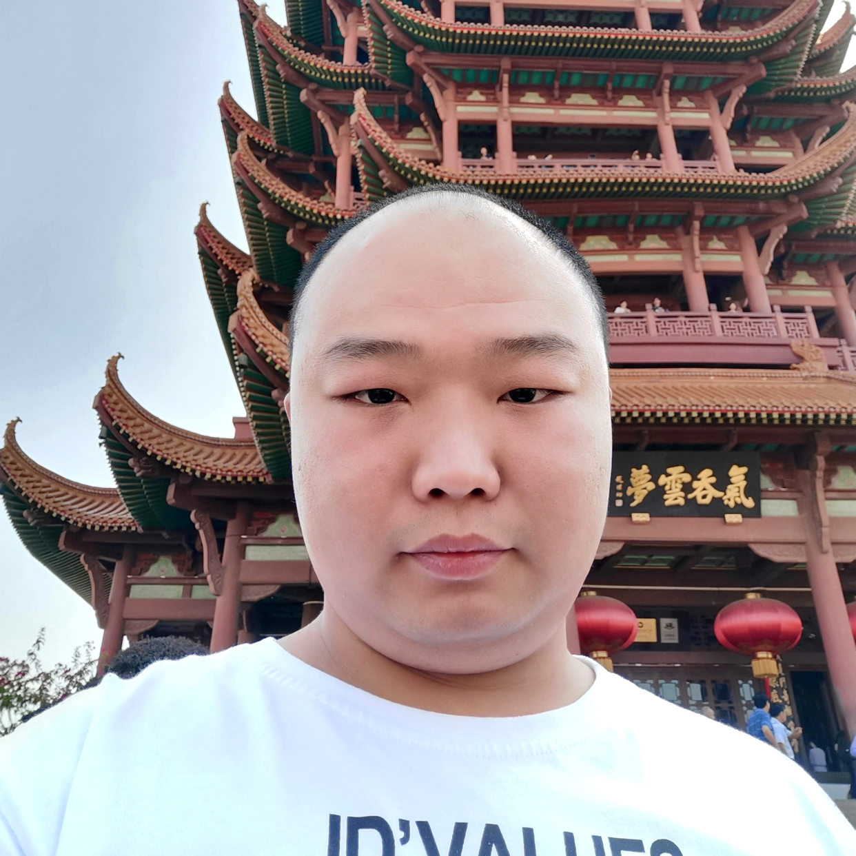 豆芽拾忆野性的照片