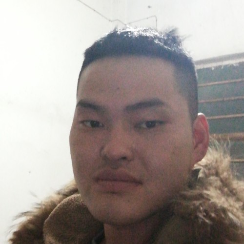 会员256686618的照片