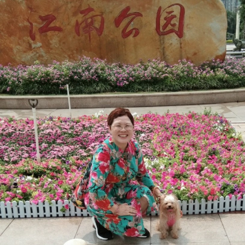 妃雅的照片