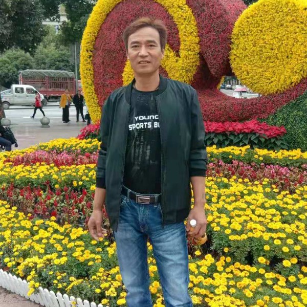 孤心向淡淡的照片