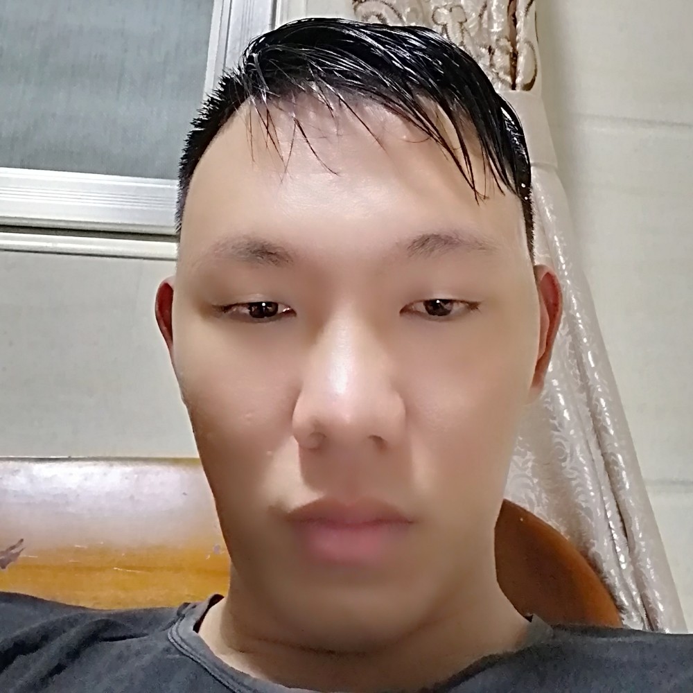 健忘小海豚的照片