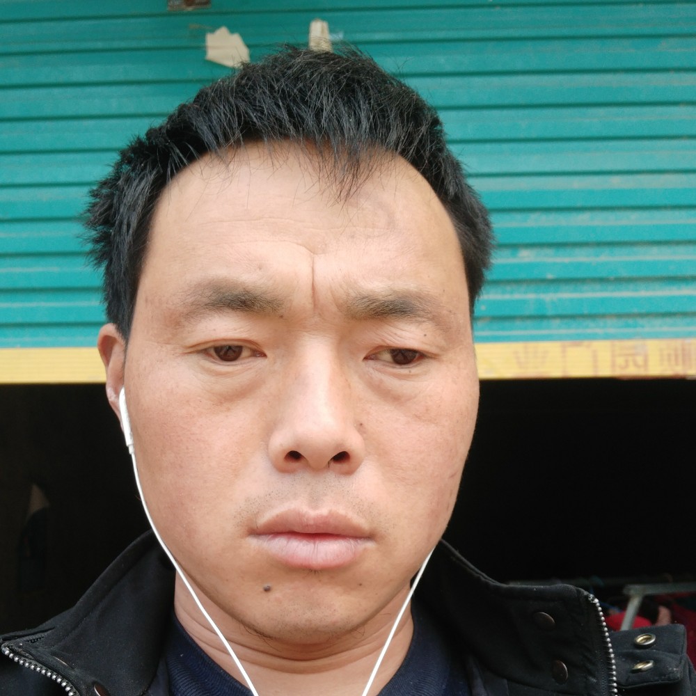 鼠标蹁跹帅气的照片