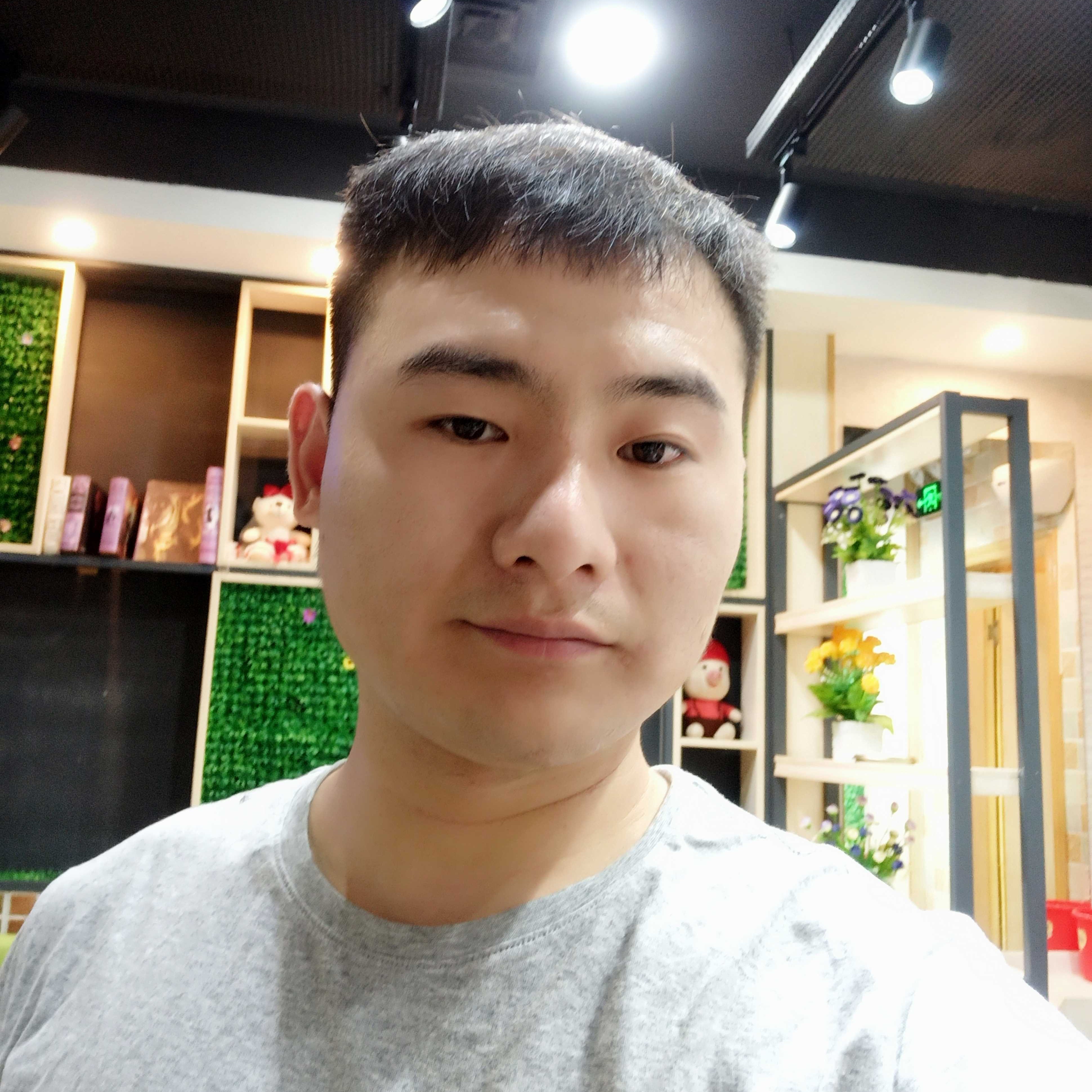 钻石用英勇的照片