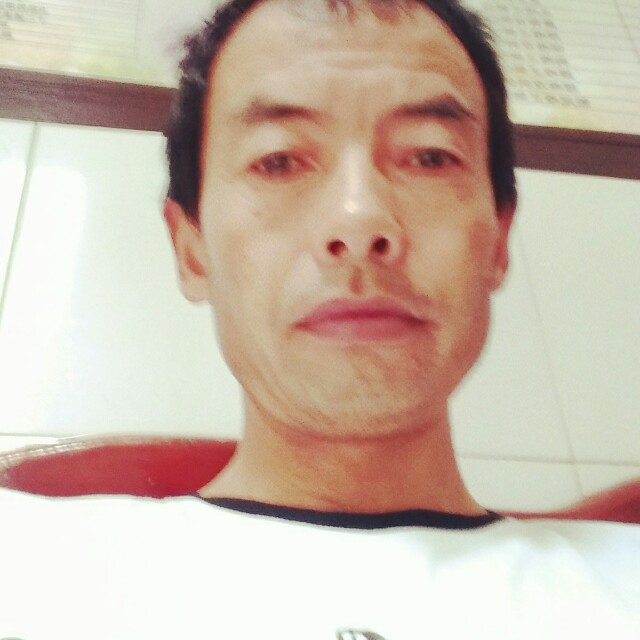 玫瑰苦恋热情的照片
