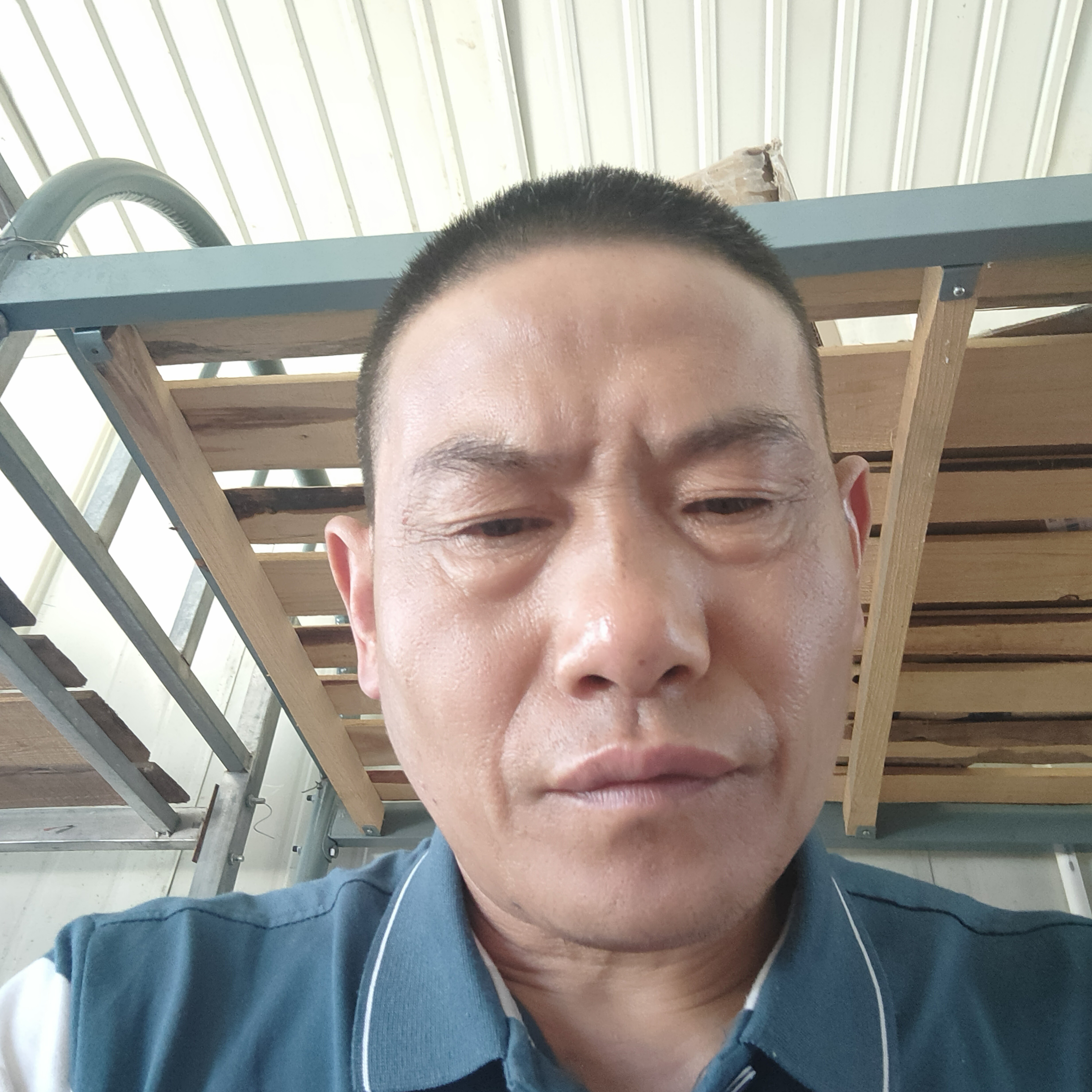 活力改变萝莉的照片