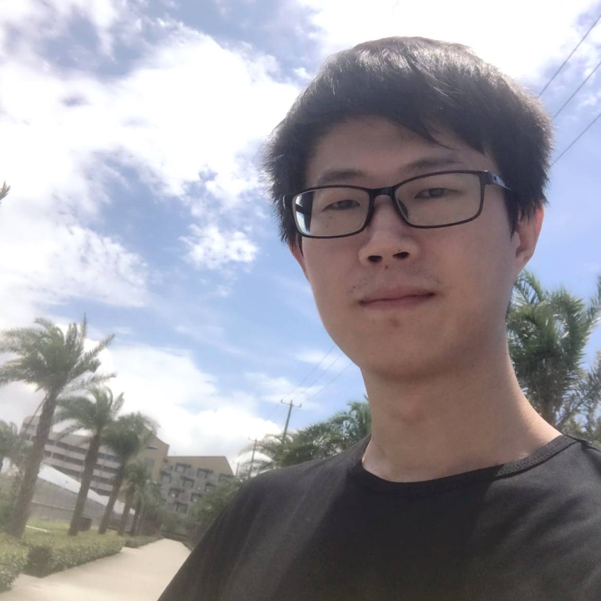 终毛毛虫的照片