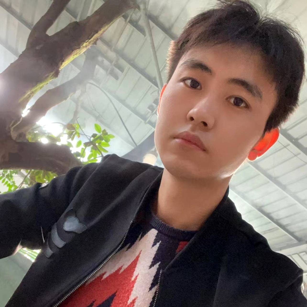 义气那柚子的照片