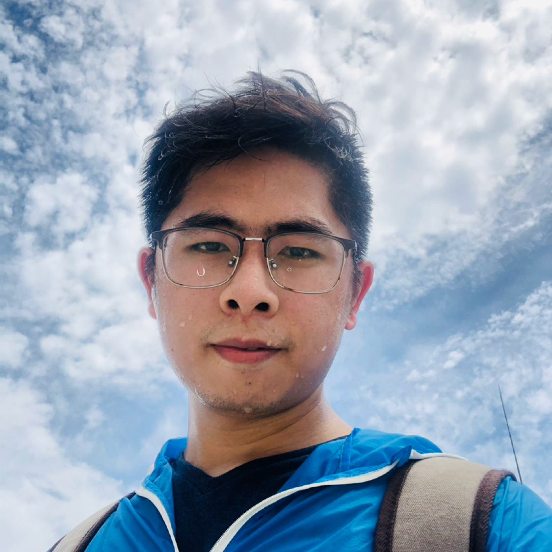 海绵的照片