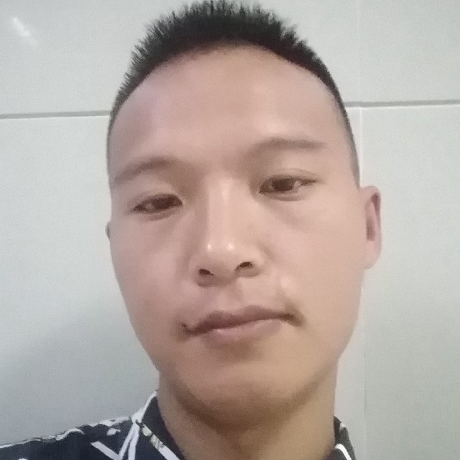 清秀浅吻小刺猬的照片