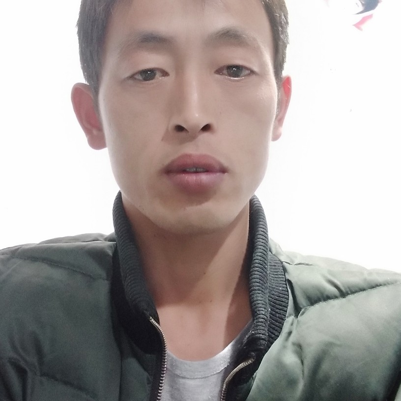 小鸽子拾忆寂寞的照片