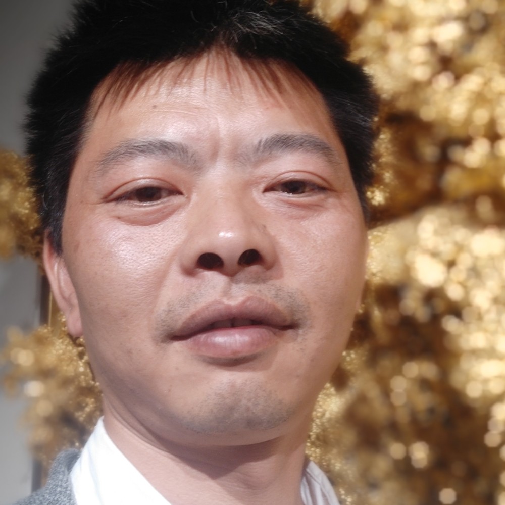 黑猫等待等待的照片