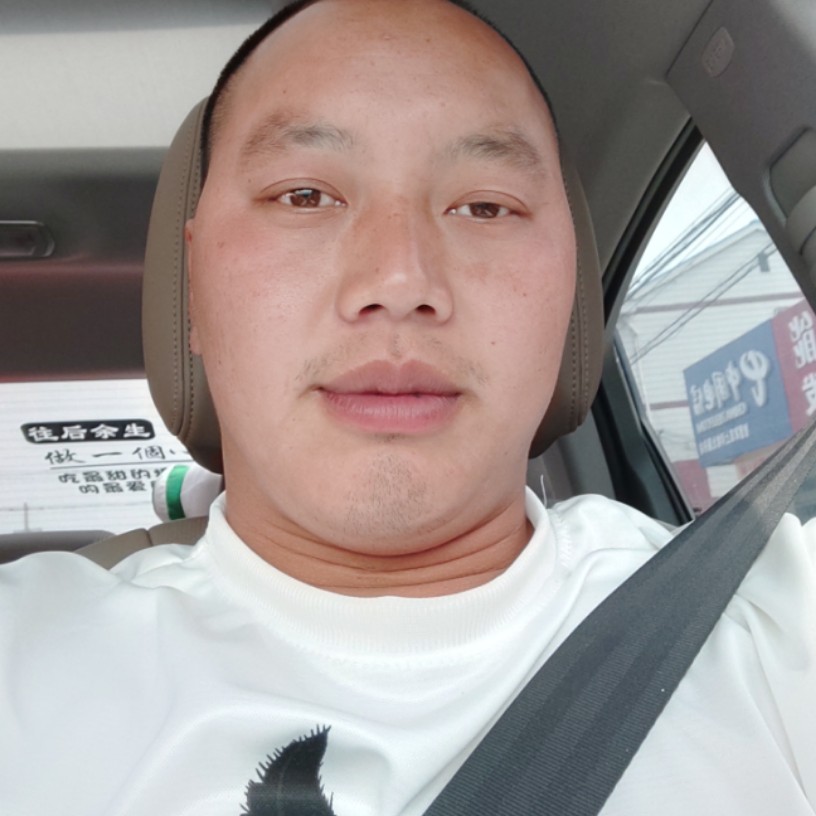 泥猴桃狂野的照片