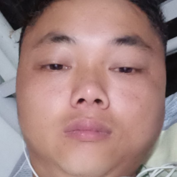 小海豚等待复杂的照片