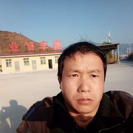 种树的照片