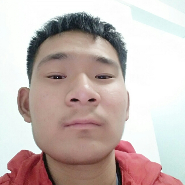 专注剪影的照片