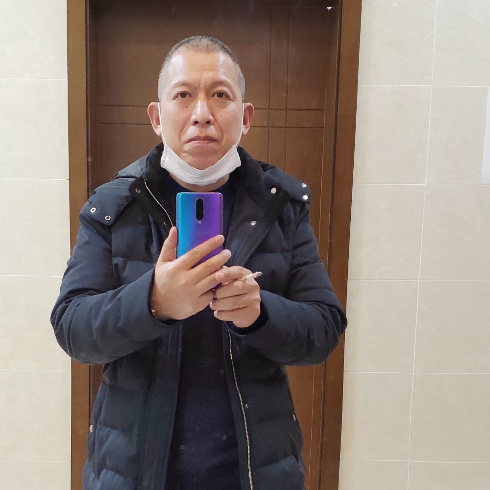 狗凝眸漠然的照片