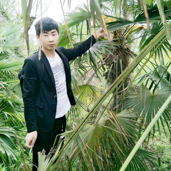 栩栩如生的照片