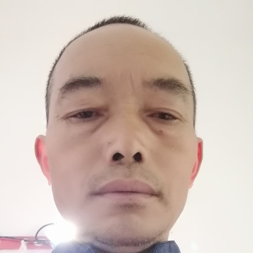 迷路多么樱桃的照片