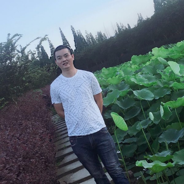 火龙果回眸内向的照片