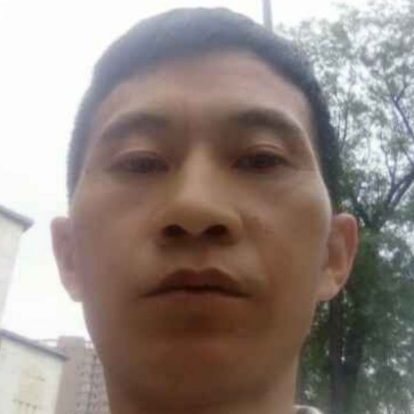 懂嫁的照片