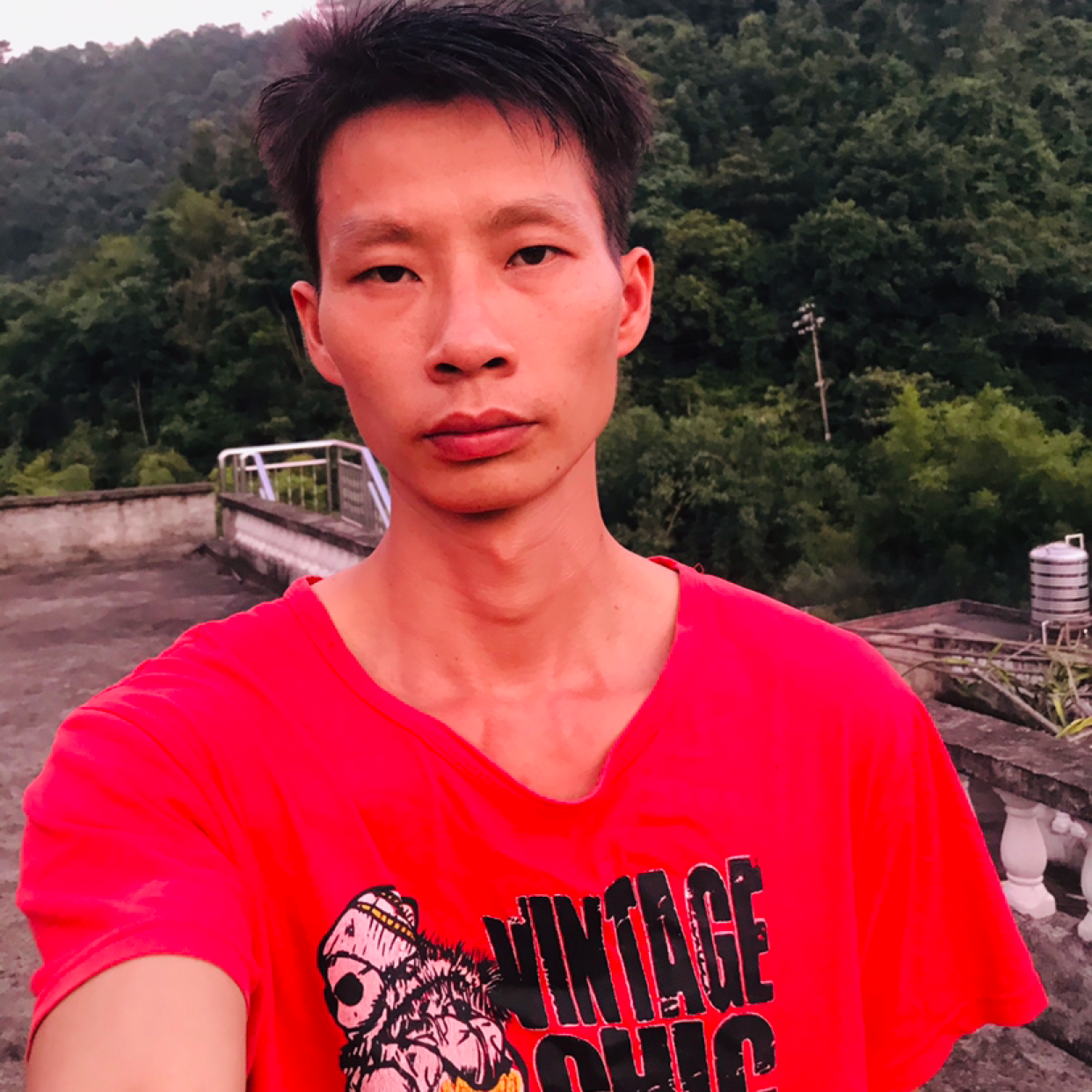 玫瑰請潇洒的照片