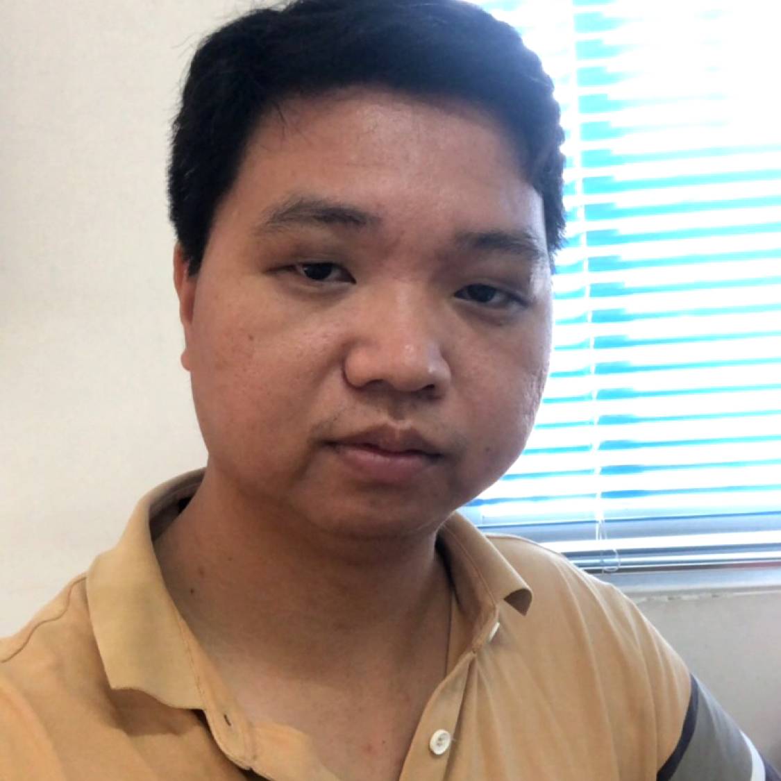 小鸽子挽手安详的照片