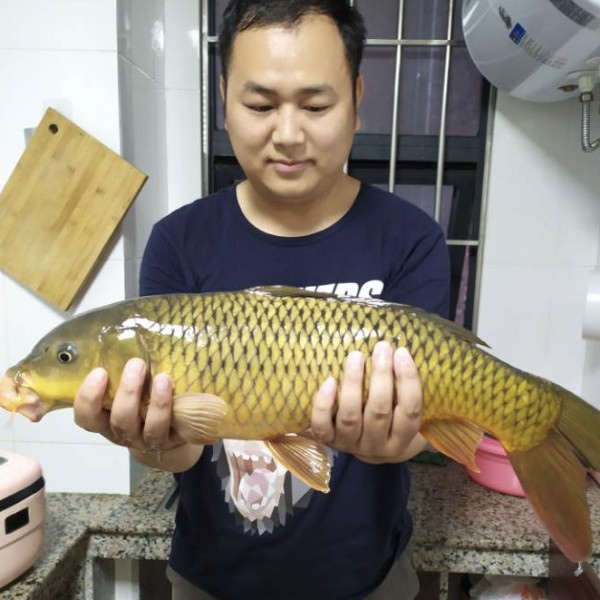 谨慎浅吻发卡的照片