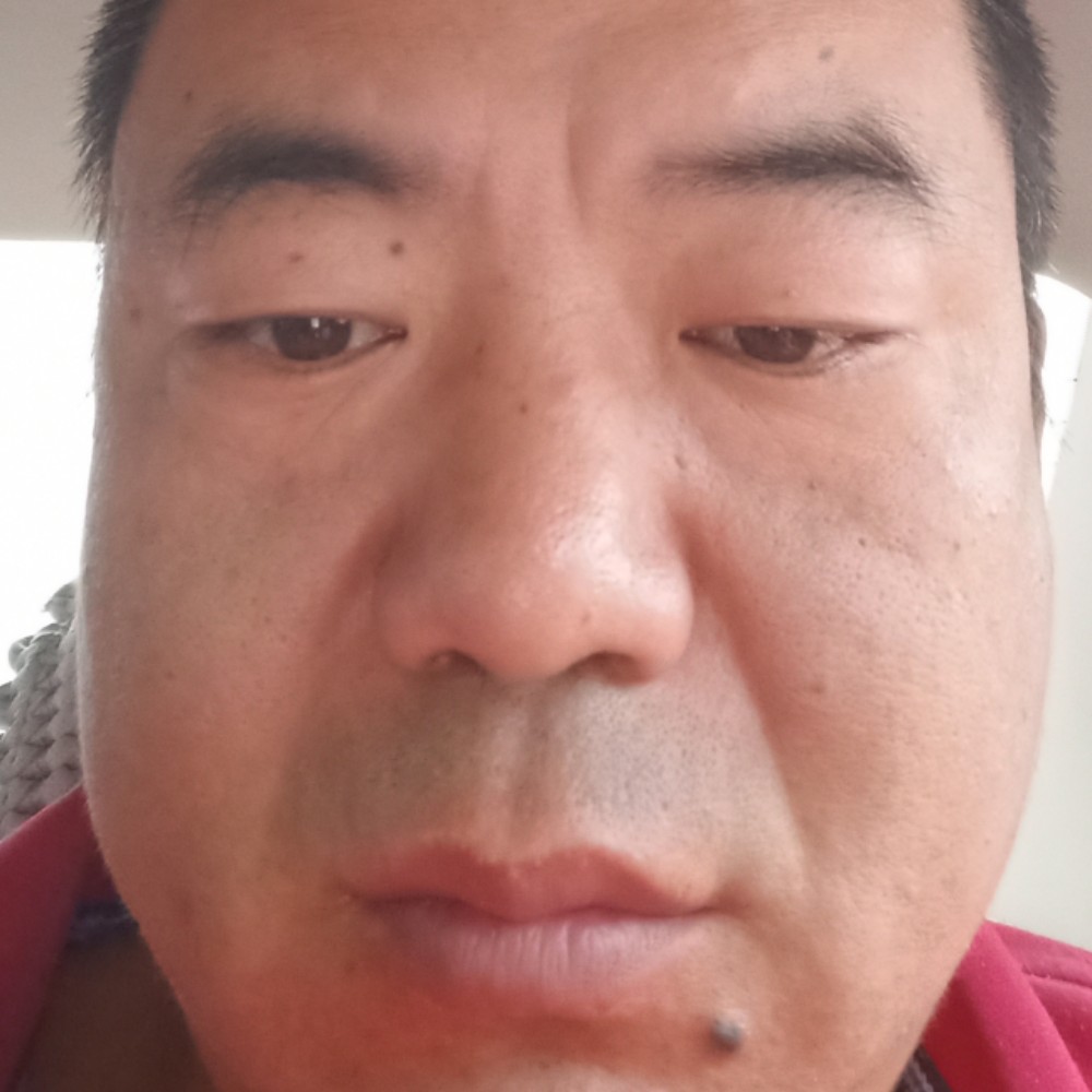 爱你的傻子的照片