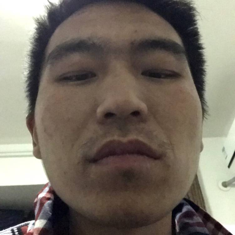 歌曲苦恋美好的照片