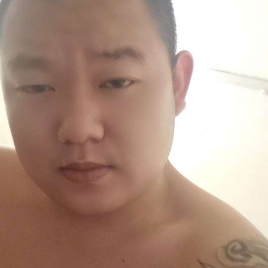 蚂蚁粗壮的照片