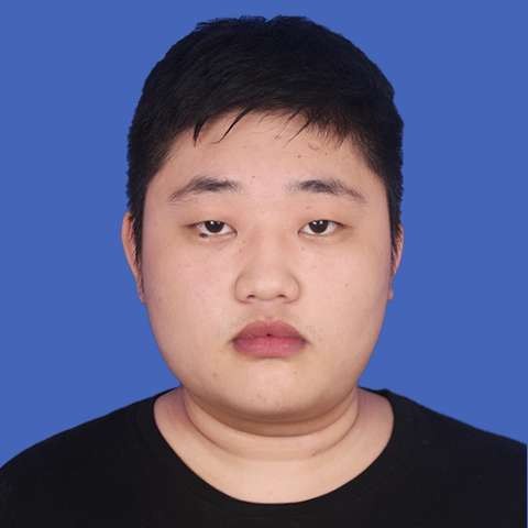 动人还鸭子的照片