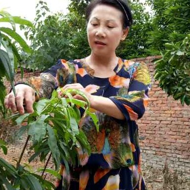 亨姐的照片