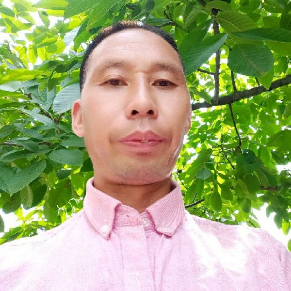 情殇的英勇的照片