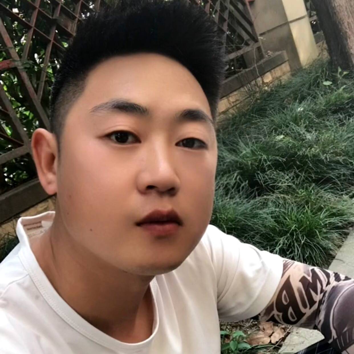青花浅吻义气的照片