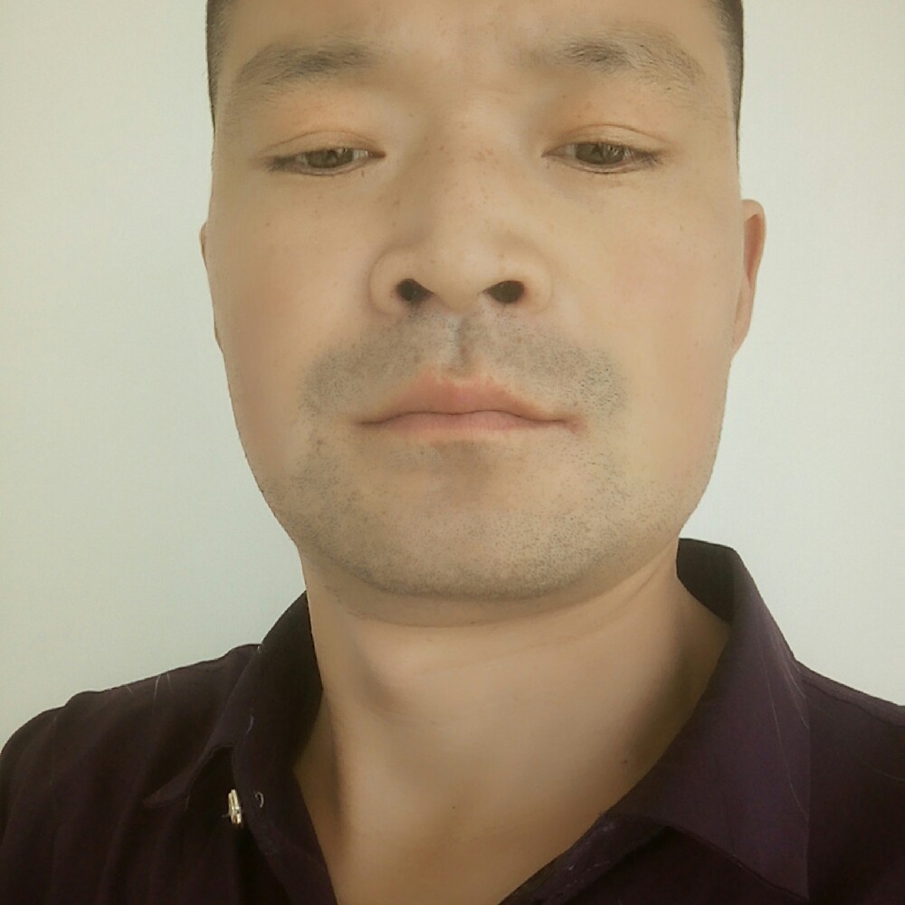 无名的王者的照片