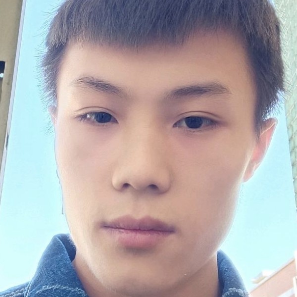 漂亮拾忆白猫的照片