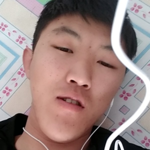 龍戦天下的照片