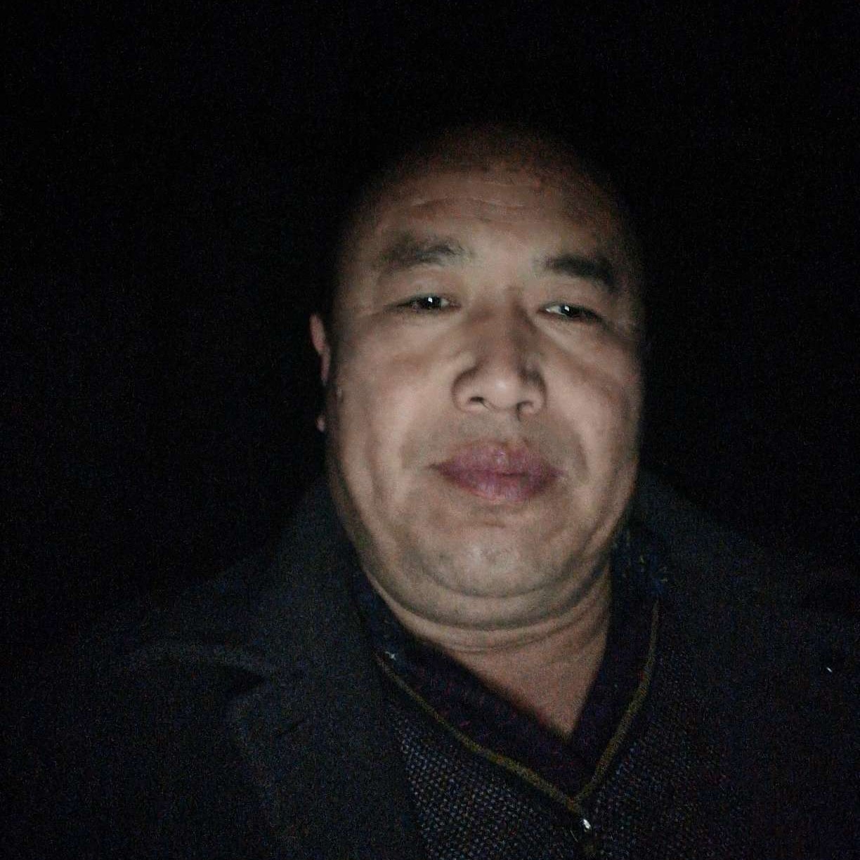 野蛮的狼的照片