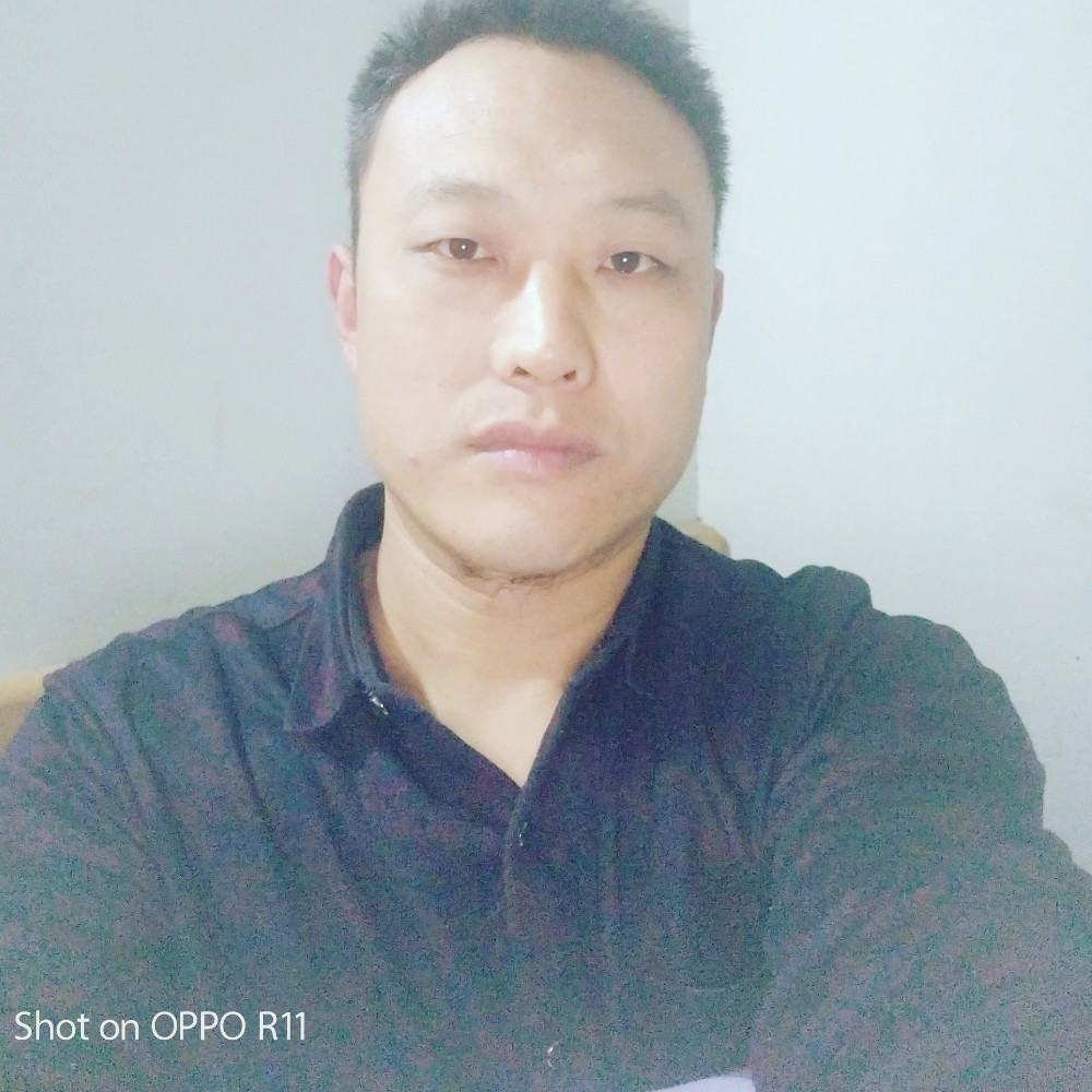 便当冷静的照片