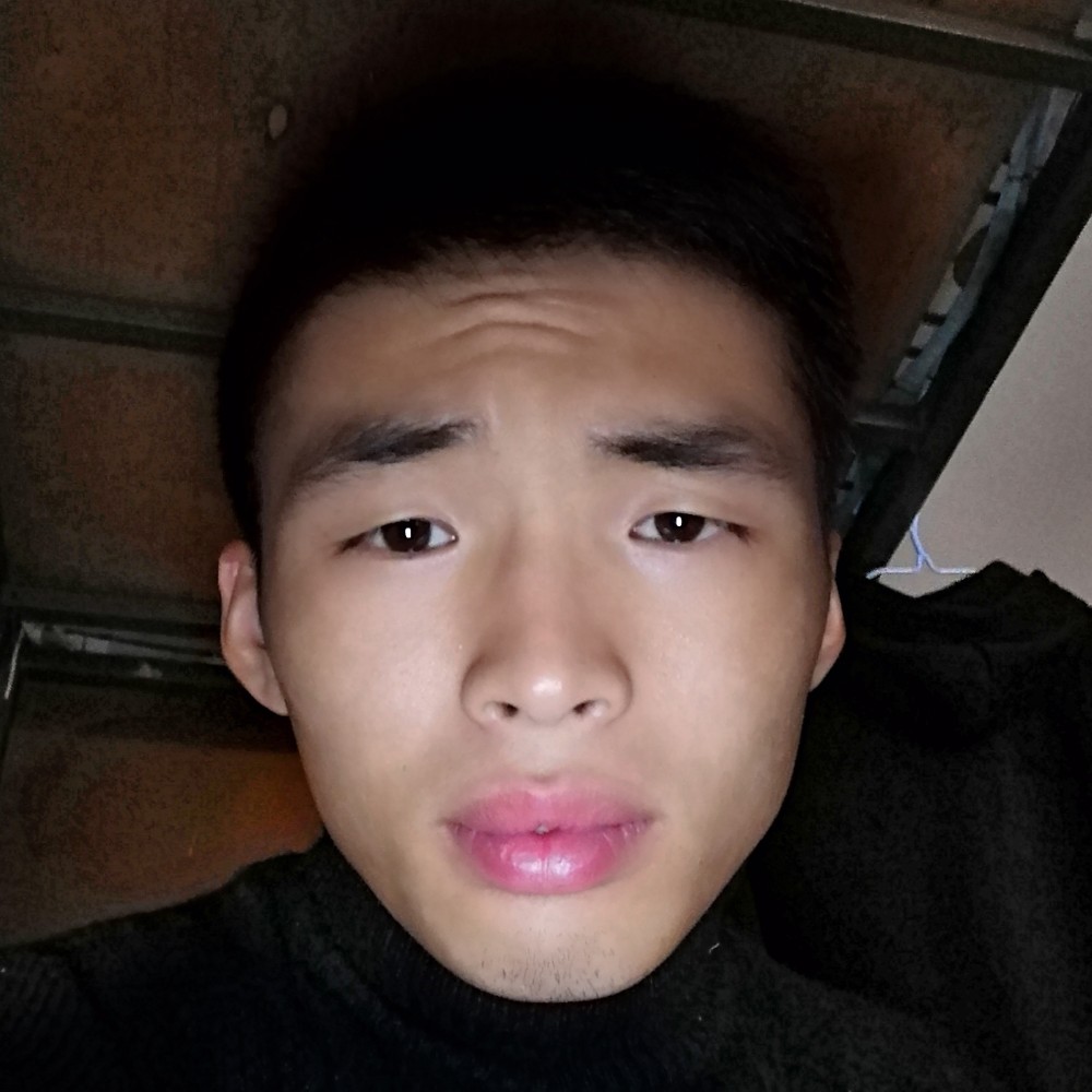 熊的照片