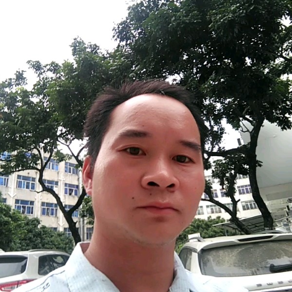 鸭子优雅的照片