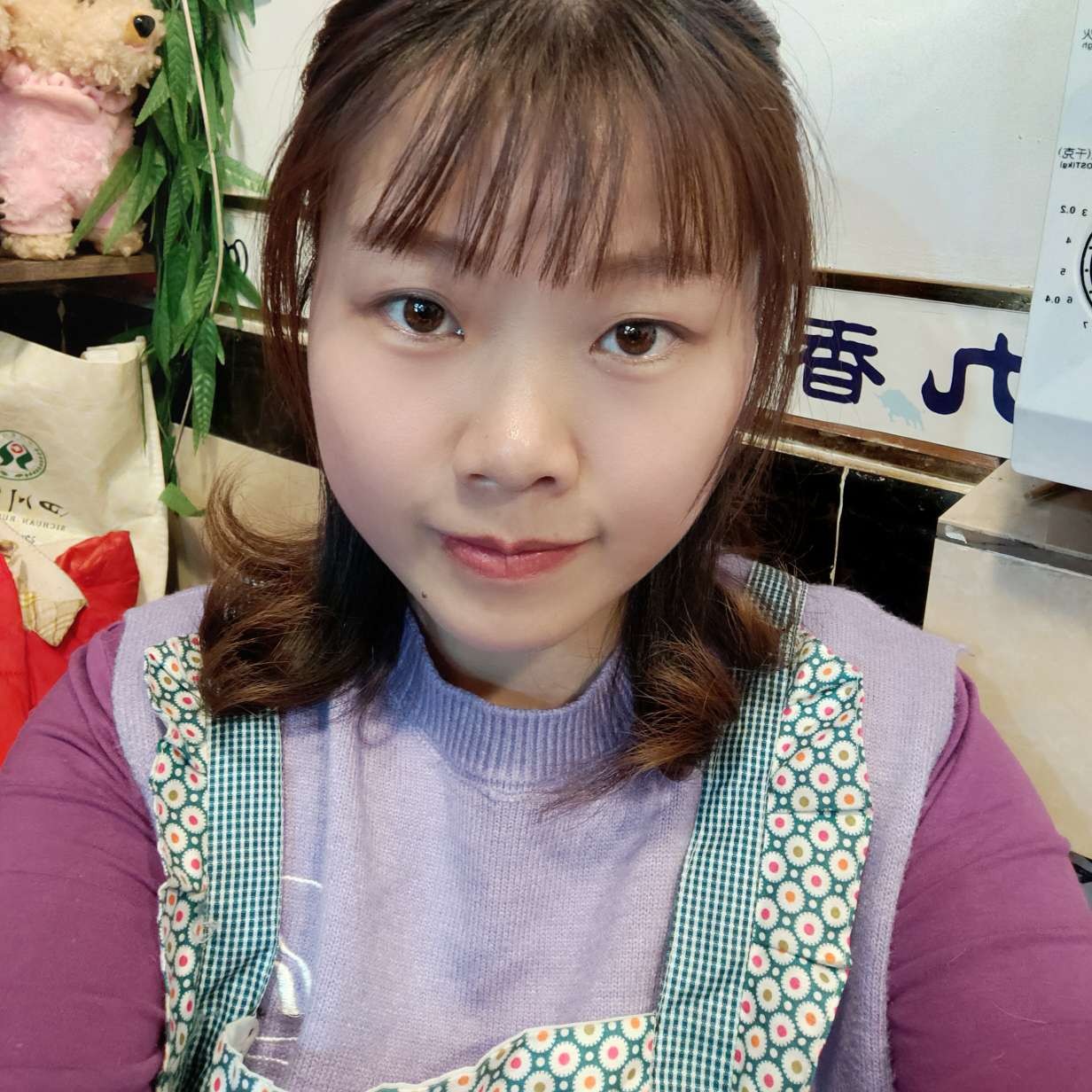 紫丁兰香的照片