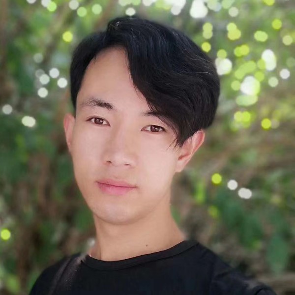 懦弱方金毛的照片
