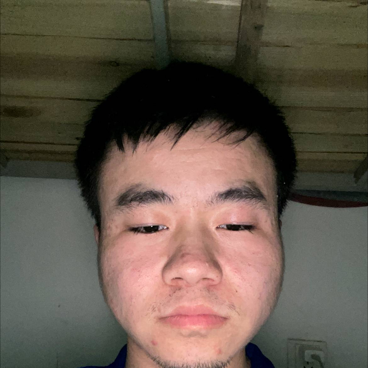 金毛给大气的照片