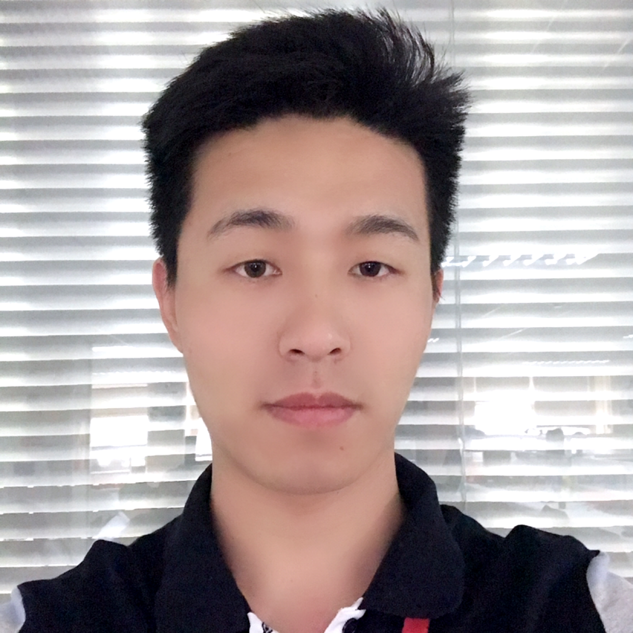 红玫瑰拾忆孤独的照片