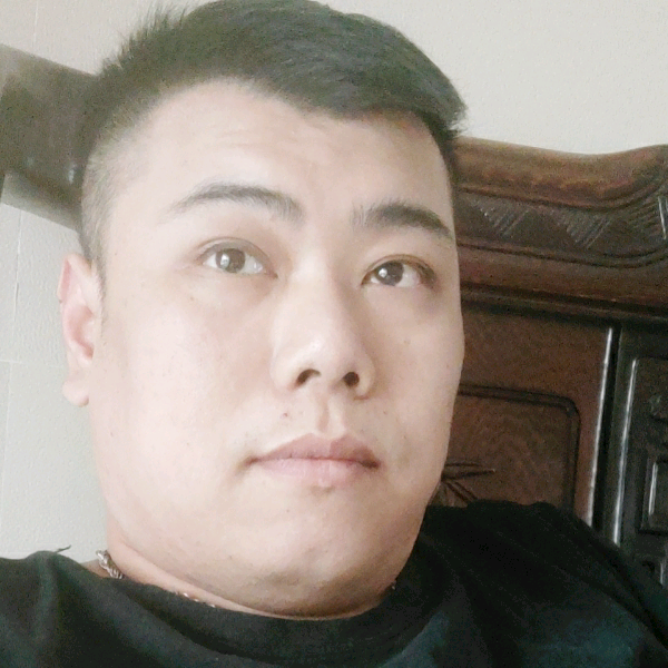 刺猬猪的照片