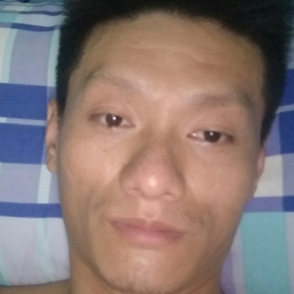宙斯斯的照片