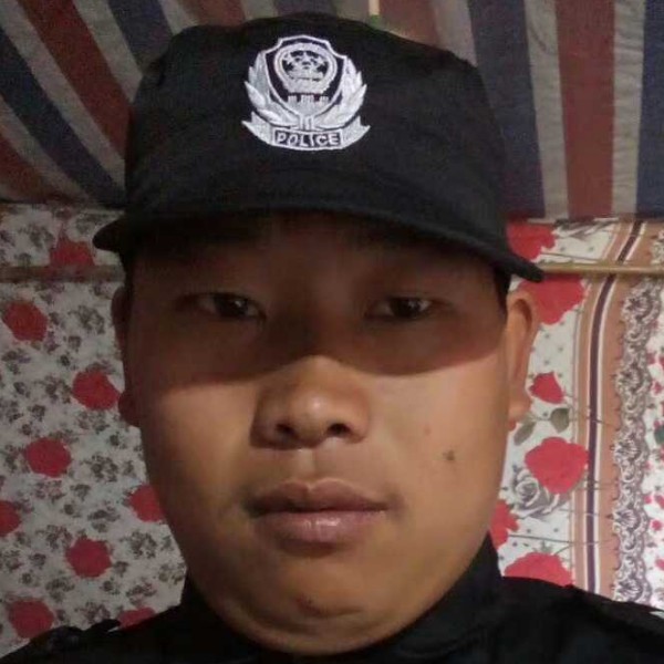 闪闪多么斑马的照片